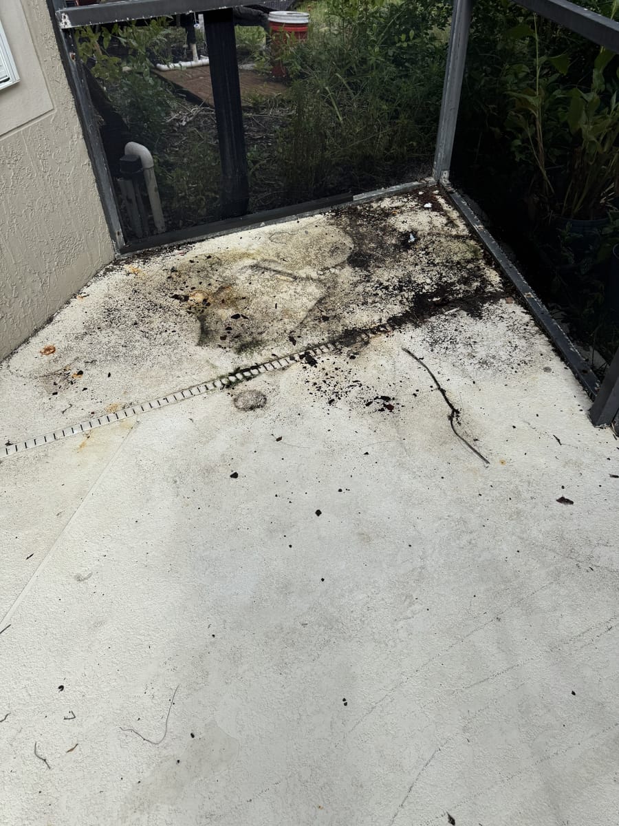 Before: Worn Surface